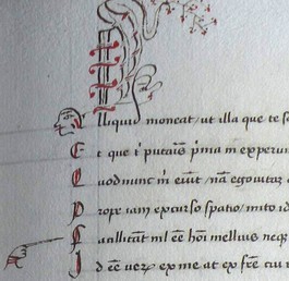 MS 84 Terentius 1.jpg