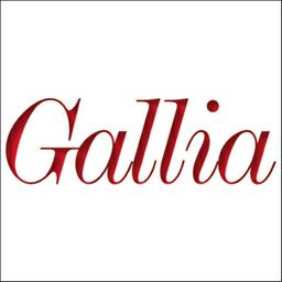 Gallia : archéologie de la France antique | 
