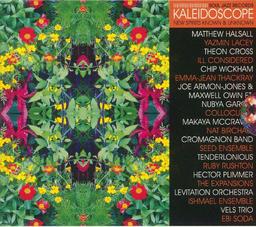 Kaleidoscope : new spirits known and unknown | Halsall, Matthew