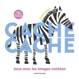 Cache Cache : joue avec les images cachées / Illustrations de Renata Bueno | Bueno, Renata (1977-....). Auteur