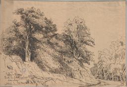 Vallon de Magnan, Route de Bellet par le Serre-long - Nice : [dessin] / Auguste Carlone | Carlone, Auguste (1812-1872). Artiste