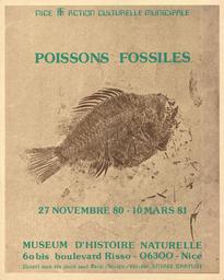 Poissons Fossiles / Action culturelle municipale | Muséum d'histoire naturelle (Nice). Commissaire d'exposition